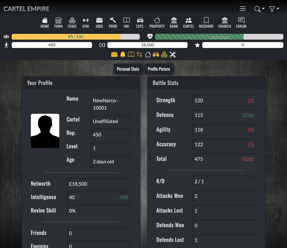 Example Home profile showing navigation, Energy/Life bars, profile fields, battle stats, and K/D counters